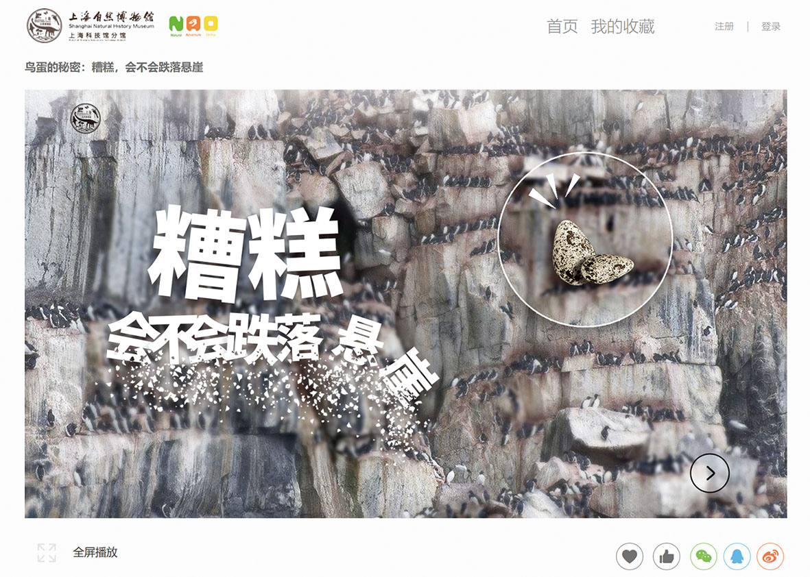 上海自然博物馆“自然探索在线（NAO）”鸟蛋的秘密科普游戏（糟糕会不会跌落悬崖）.jpg