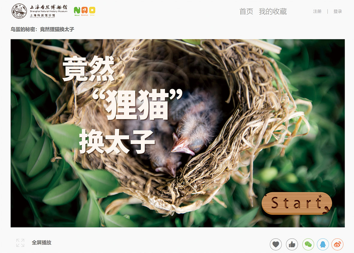 上海自然博物馆“自然探索在线（NAO）”鸟蛋的秘密科普游戏（竟然狸猫换太子）.jpg